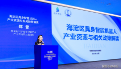 <b>正在更具前瞻性的类脑域</b>